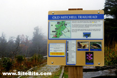 Mount Mitchell Trailhead