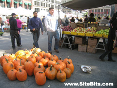 Union Square Market: pumpkins