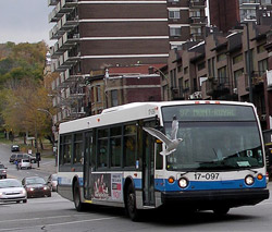 Montreal Bus