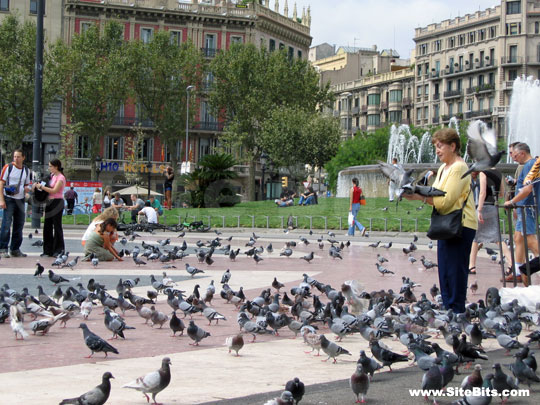 Feeding Pigeons in Plaça de Catalunya