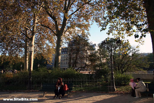 Trees Near Notre Dame Cathedral