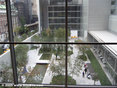 A View from MoMA window