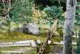 Nanzen-Ji Temple: Garden Path