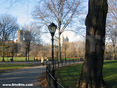 Central Park. View North-West.
