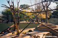 Rome Zoo: Monkey Pit