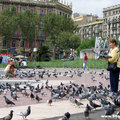 Feeding Pigeons in Plaça de Catalunya(thumb)