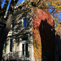 Fall in McGill Ghetto(thumb)