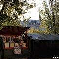 Book Stall on the Right Bank(thumb)
